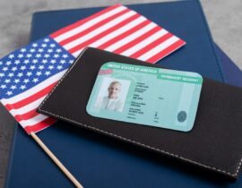 top-view-green-card-application (1) (1)