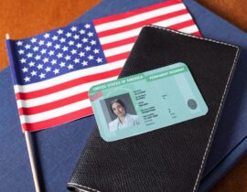 top-view-green-card-application (2)